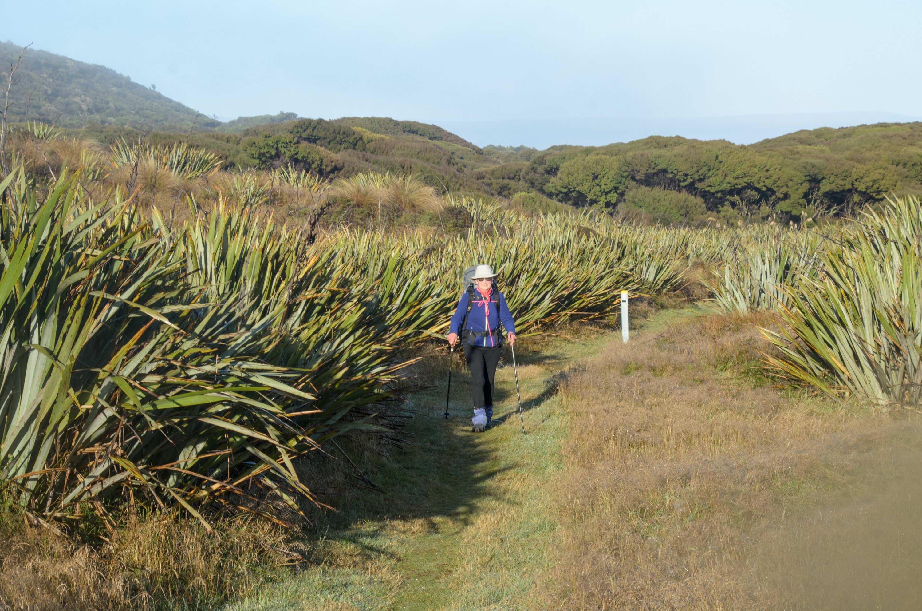 DSC_2124 – Adventure, Crispin, Freshwater, Freshwater Hut, Hut, Island, March 2017, Mason, Mason Bay, National Park, New, New Zealand, Rakiura, South, Stewart, Zealand